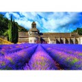 Nathan Abbaye Notre-Dame de Snanque